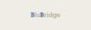 Blubridge Technologies